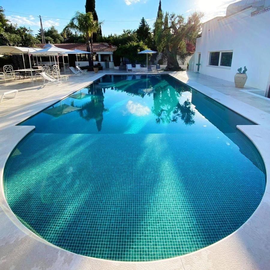 B&B Antico Ulivo Monopoli Dış mekan fotoğraf