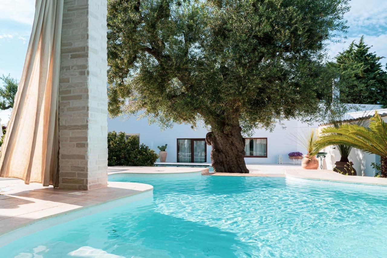 B&B Antico Ulivo Monopoli Dış mekan fotoğraf