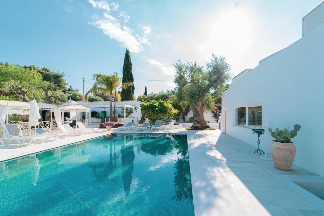 B&B Antico Ulivo Monopoli Dış mekan fotoğraf