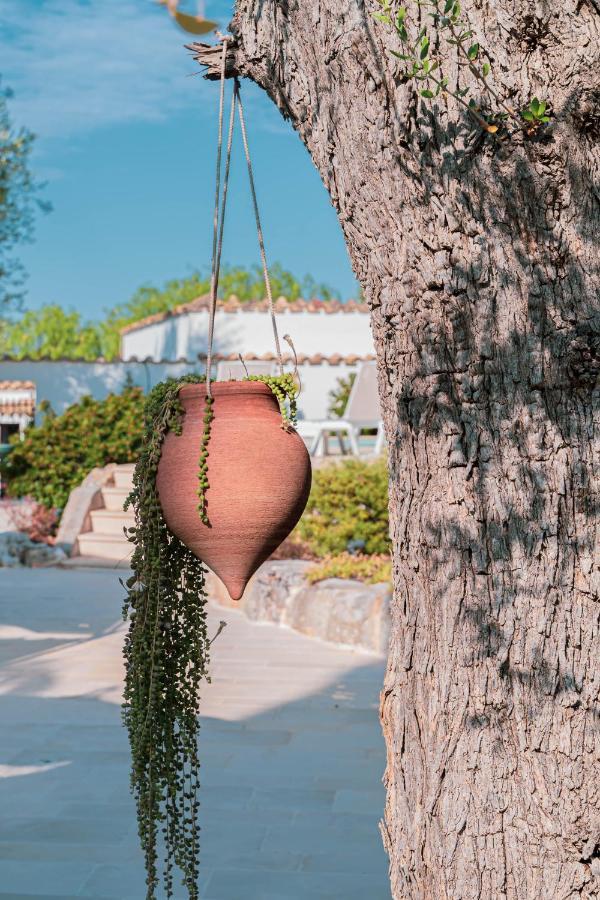 B&B Antico Ulivo Monopoli Dış mekan fotoğraf