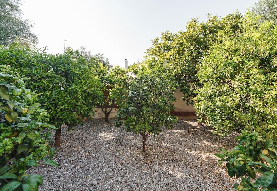 B&B Antico Ulivo Monopoli Dış mekan fotoğraf