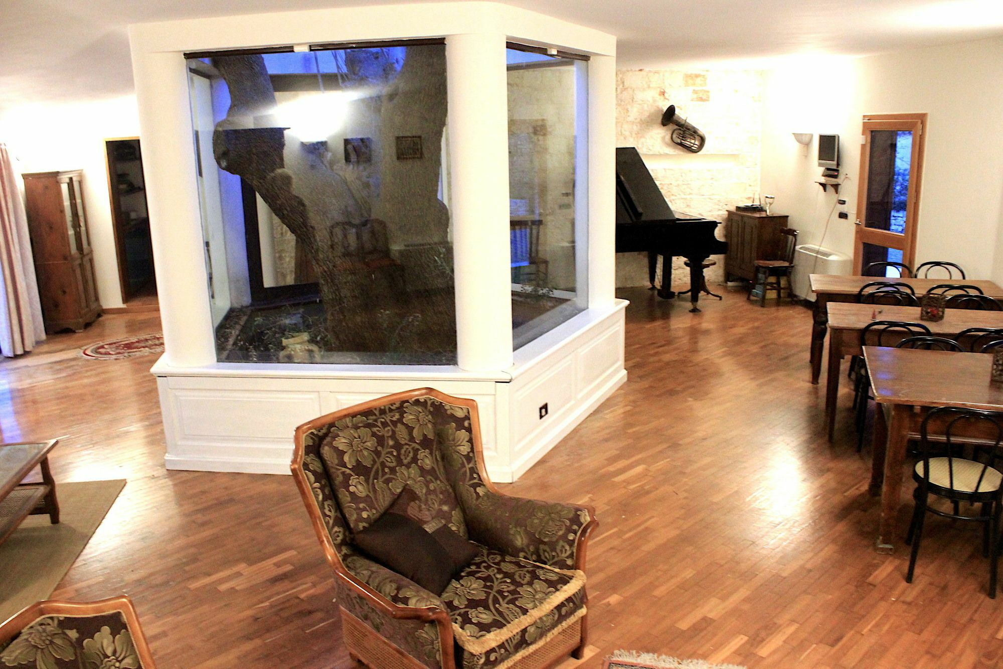 B&B Antico Ulivo Monopoli Dış mekan fotoğraf