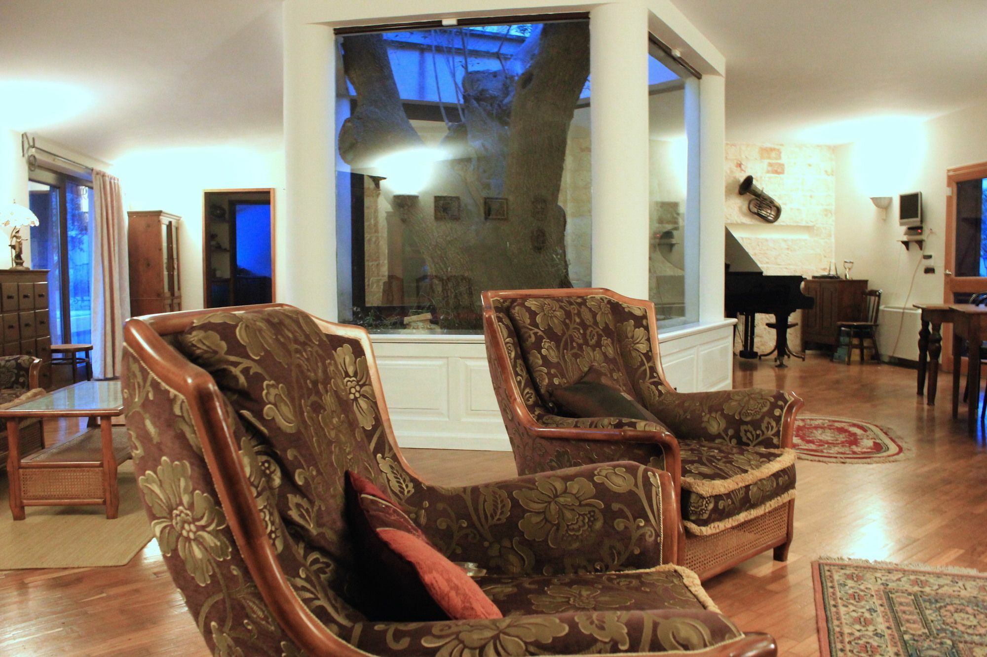 B&B Antico Ulivo Monopoli Dış mekan fotoğraf